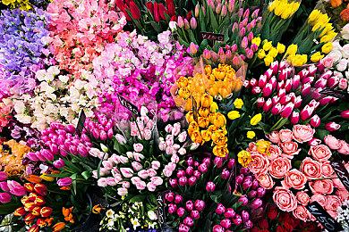 《星之卡比：探索发现》新游戏截图 野兽军团Boss战