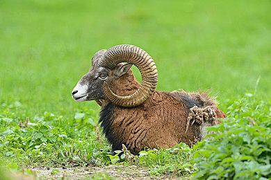 杉果十周年斥资千万回馈用户，愿陪你继续走过游戏人生